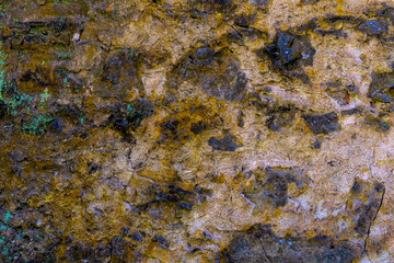 Close-up on Colorful rock background or backdrop with moss, in the colors golden, black, green and brown