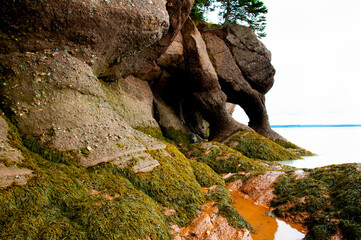 Hopewell Rocks - New Brunswick - Canada