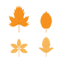 illustration set of autumn or fall leaves. maple leaf. flat design. can be used for icons, elements, UI.