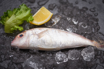 Fresh raw fish with ingredients / lemon rosemary and lettuce for making cooked food on ice at market sea bream seafood fish frozen