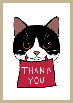 473 最適な ハチワレ猫 画像 ストック写真 ベクター Adobe Stock