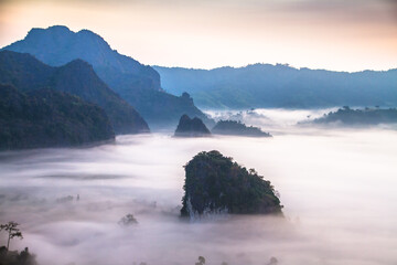 misty morning in the mountain at Phu Langka in Thailand