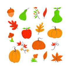 Pretty hand drawn Autumn Elements  Set. Fall Floral Clipart vector illustration
