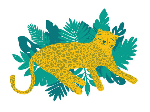 Leopard lay down on tropical leaves. Cartoon wild animal resting. Vector illustration, animal design, for printing on fabric, clothing, bedding, printing, postcards. Cute baby background.