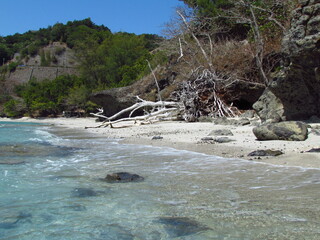 東京都･小笠原諸島･父島･境浦