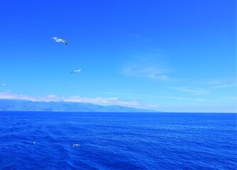 新潟県_佐渡島の海