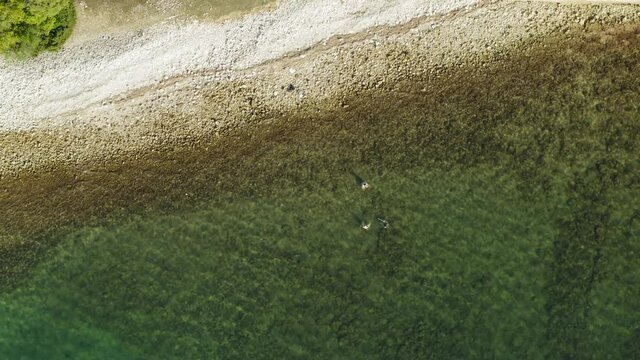Aerial view of the Byzant Kastrum ruins on Brijuni National Park, Croatia