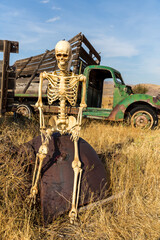 Obraz premium Skeleton sitting on an old truck bed in a dead grass field