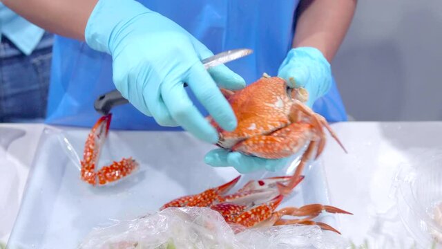 Chef in restaurant is removing shell of big size streamed crab.