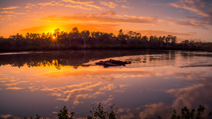 Beautiful Riverside Sunrise Panorama with Reflections