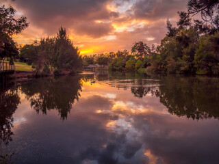 Fototapeta na wymiar Beautiful Lakeside Sunrise with Waterbirds and Reflections