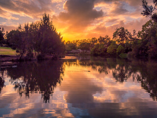 Fototapeta na wymiar Beautiful Lakeside Sunrise with Waterbirds and Reflections