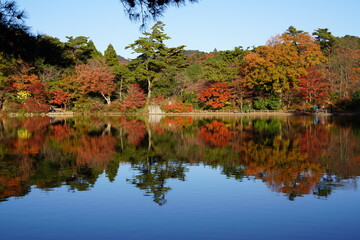 神戸市　再度公園の鏡池と紅葉