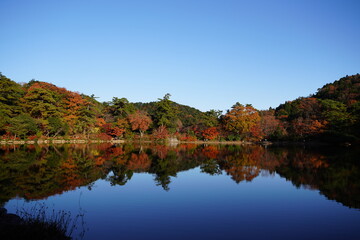 Fototapeta na wymiar 神戸市　再度公園の鏡池と紅葉