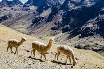 Paisajes de Perú