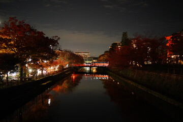 Fototapeta na wymiar 京都　琵琶湖疏水　岡崎通り秋の夜景