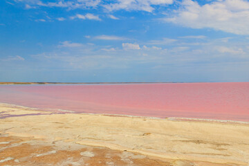 View of the pink salty Syvash lake in Kherson region, Ukraine