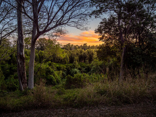 Fototapeta na wymiar Colourful Sunset Cloud Framed by Trees