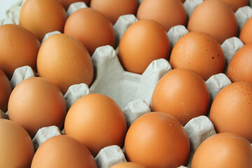 Eggs in egg tray
