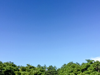 Obraz premium 青空