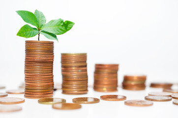 business financial planning concept. row of coins stack with green plant growth up on white background. money management sustainable savings. success investment.
