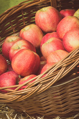 Fresh ripe apples in basket on stall at bazaar. Vintage photo