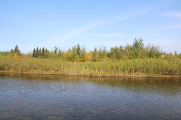 First Colours By The Water, Pylypow Wetlands, Edmonton, Alberta