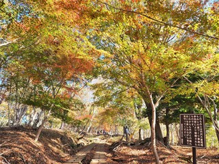 Fototapeta premium 神奈川県･塔ノ岳