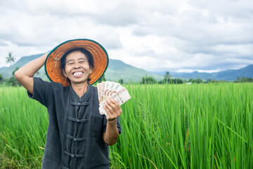 happy Asian old female farmer hand holding Thai baht money smiling over green rice farm 