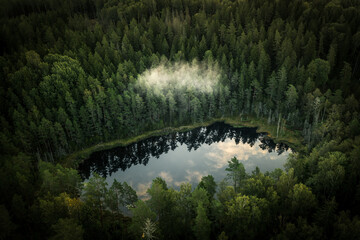 Aerial view of sunrise over a pine forest with lake. Foggy and colorful morning in countryside.