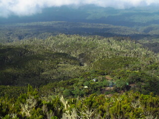 Naklejka premium キリマンジャロ登山