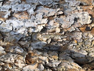 stone wall texture