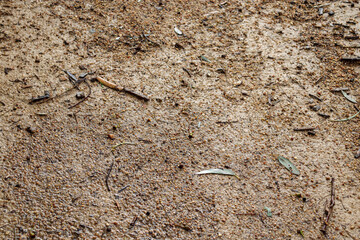 bare earth after the rain