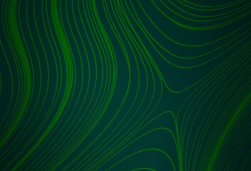 Dark Green vector blurred shine abstract template.