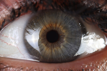 Human eye pupil and cornea close up. Vision examination and eye disease treatment concept