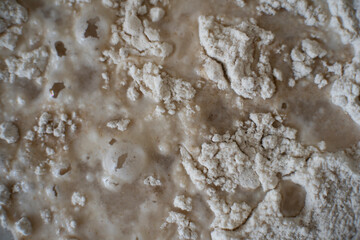 rye flour and water, ready to make dough