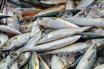 Tuna fish bundke sell in seafood market