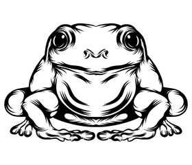 The frog with his full body