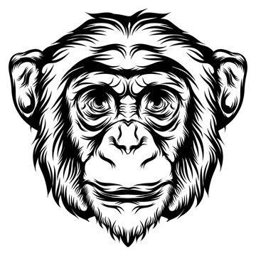 The monkey for the tattoo animal ideas
