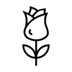 flower vector line icon
