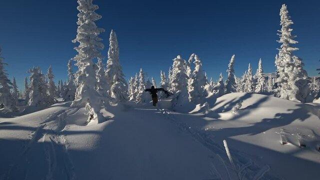 freeriders walk with snowboards on their shoulders against a background of bright sun, blue sky and snow-covered white Christmas trees. 4k RAW video footage