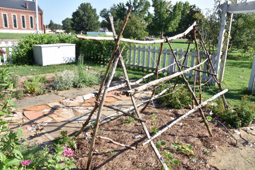 Garden Trellis