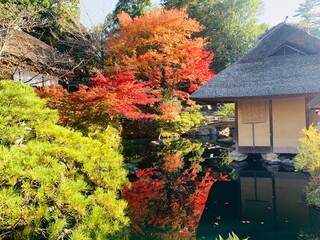 japanese traditional garden, kiyomizu, kyoto, japan