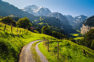 Green fields and snowy mountains, Wengen resort, Lauterbrunnen valley, Switzerland