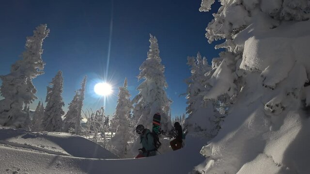 a group of young freeriders make their way through a fabulous snow-covered forest, at a ski resort. Ski touring and splitboarding concept. Winter sport hike and travel. 4k RAW video footage