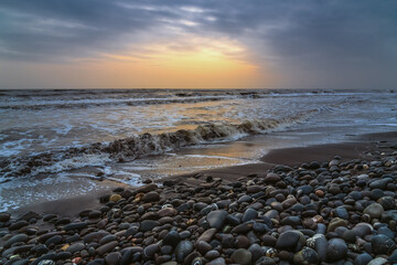 Fototapeta na wymiar Old driftwood on seashore at sunrise