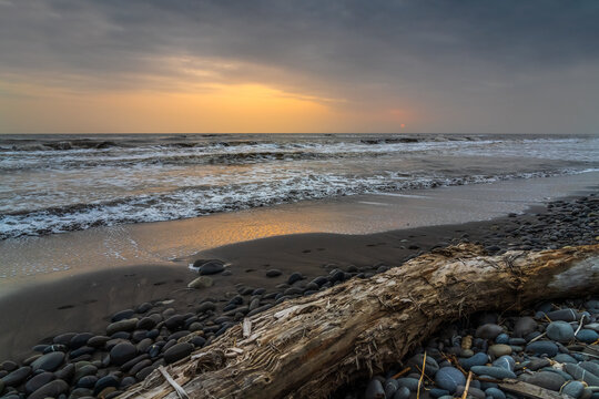 Old driftwood on seashore at sunrise