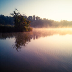 Fototapeta premium Morning by the ponds