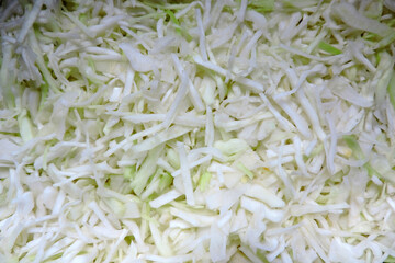 Fresh chopped cabbage in close-up
