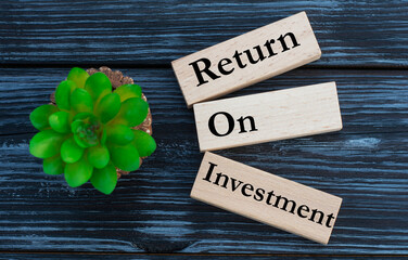 RETURN, ON, INVESTMENT, words on wooden blocks on a beautiful dark background with cactus